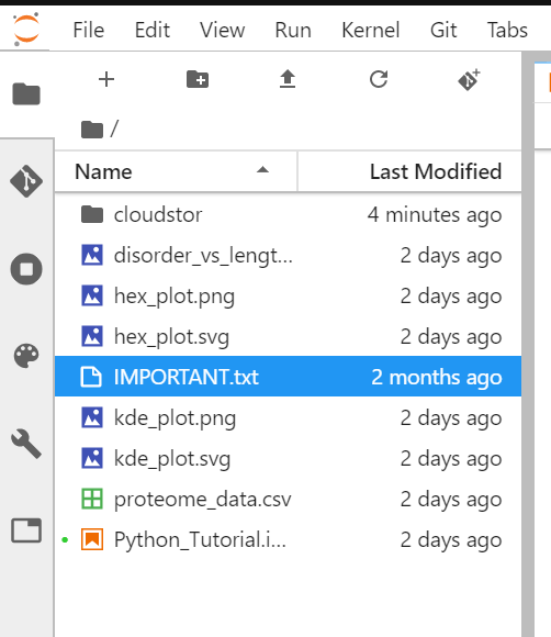 File Explorer