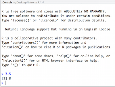 Running in the console