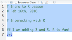 Running in the script editor